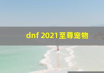 dnf 2021至尊宠物